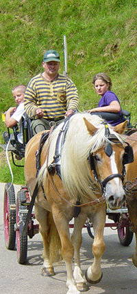 Kutschenfahrt in Münstertal