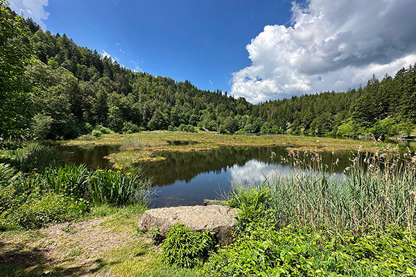 Nonnenmattweiher