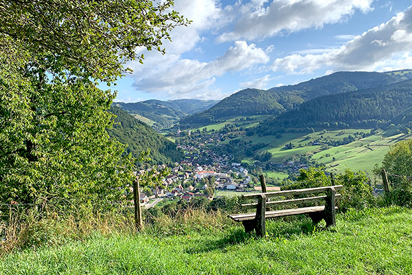 Blick auf das Münstertal