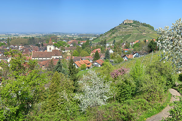 Staufen im Breisgau mit Burgruine